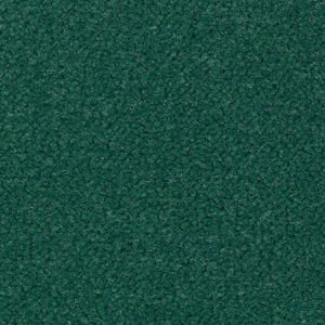 Daydreamer Collection